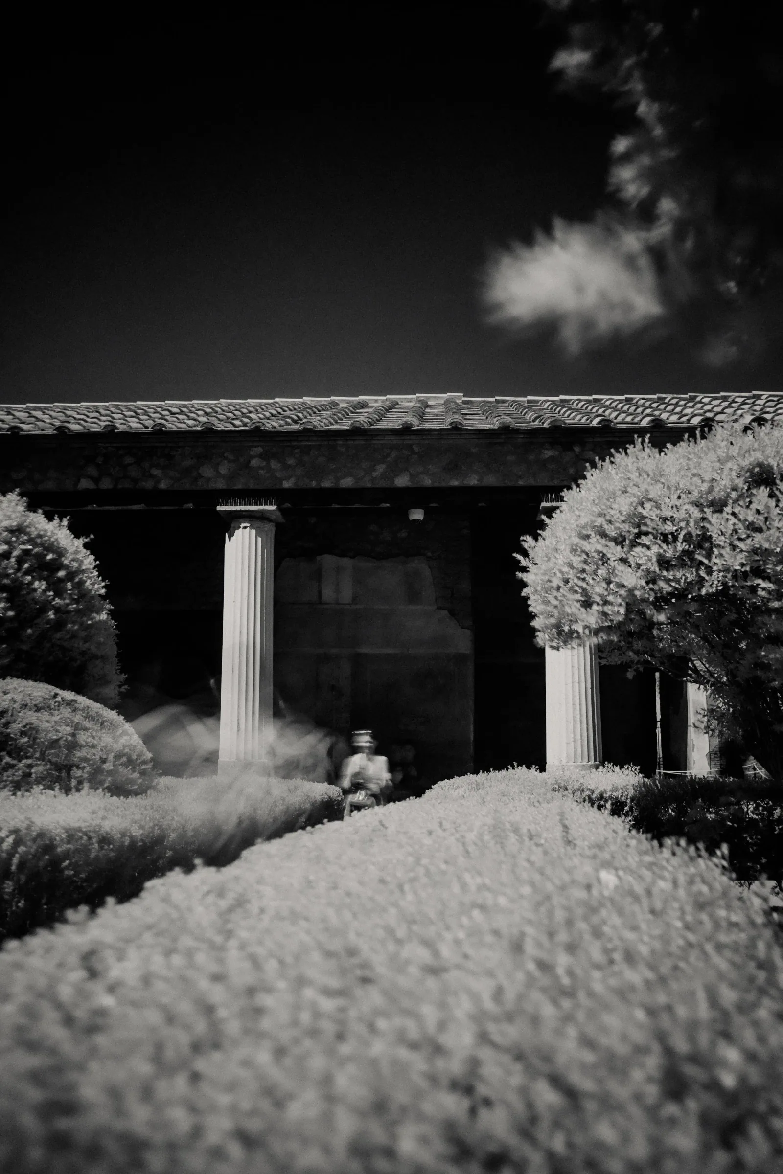 ALLEE SELIM AFTER US 14, photographie noir et blanc par Selim Allee